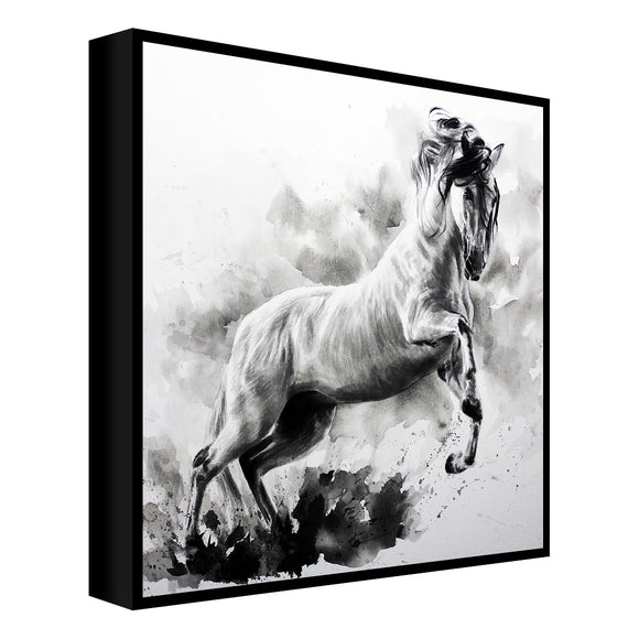 Frame 10 Inch Wild Mustang FRM0018